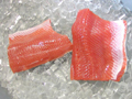 Pink Salmon Fillet