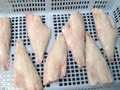 Skinless Redfish Fillets